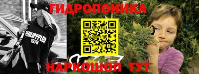 дживик Кандалакша
